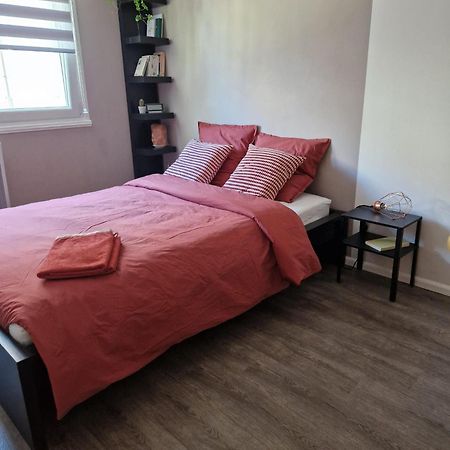 Robertsau Tres Bel Appartement Strasbourg Exterior foto