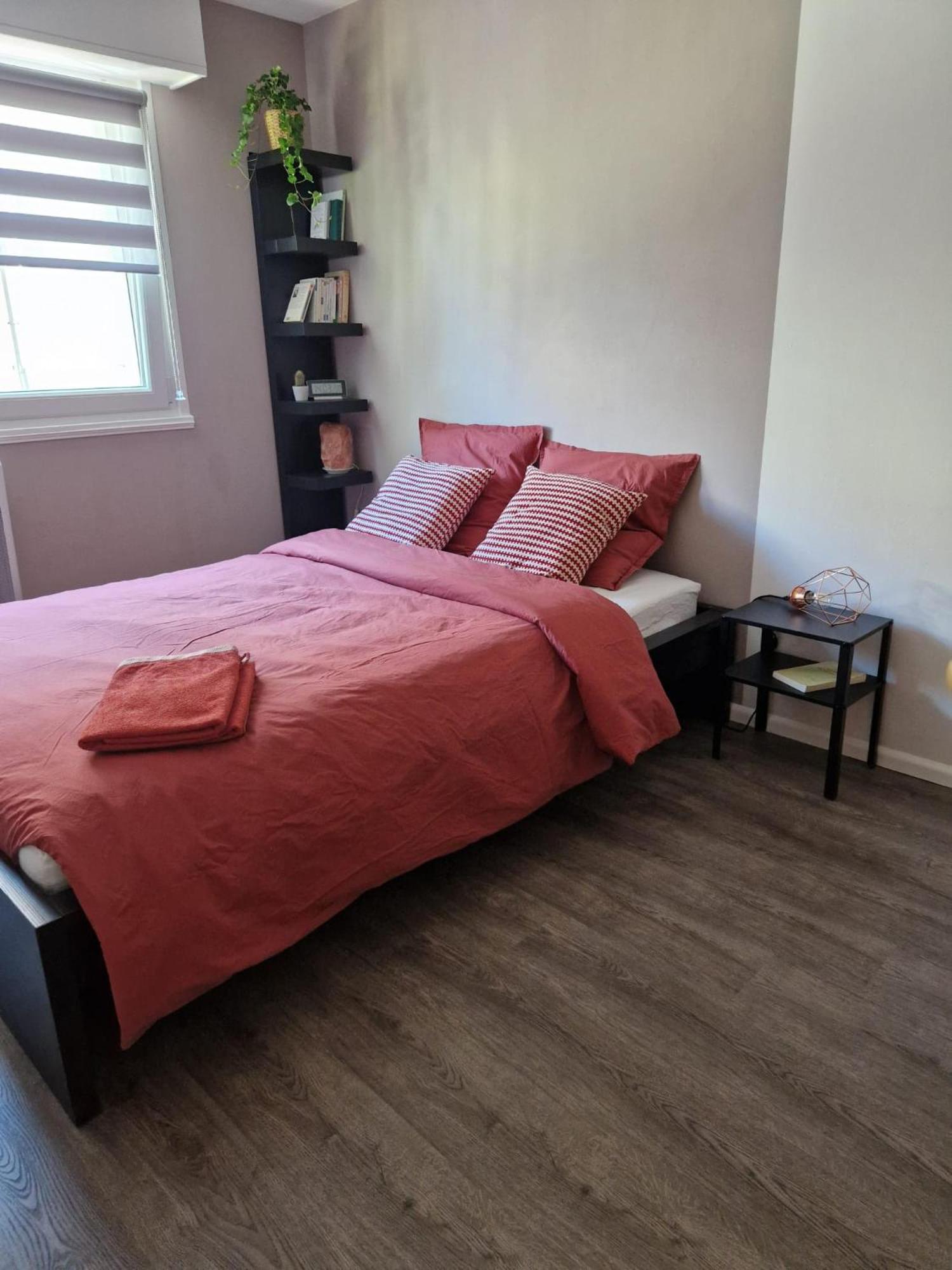 Robertsau Tres Bel Appartement Strasbourg Exterior foto