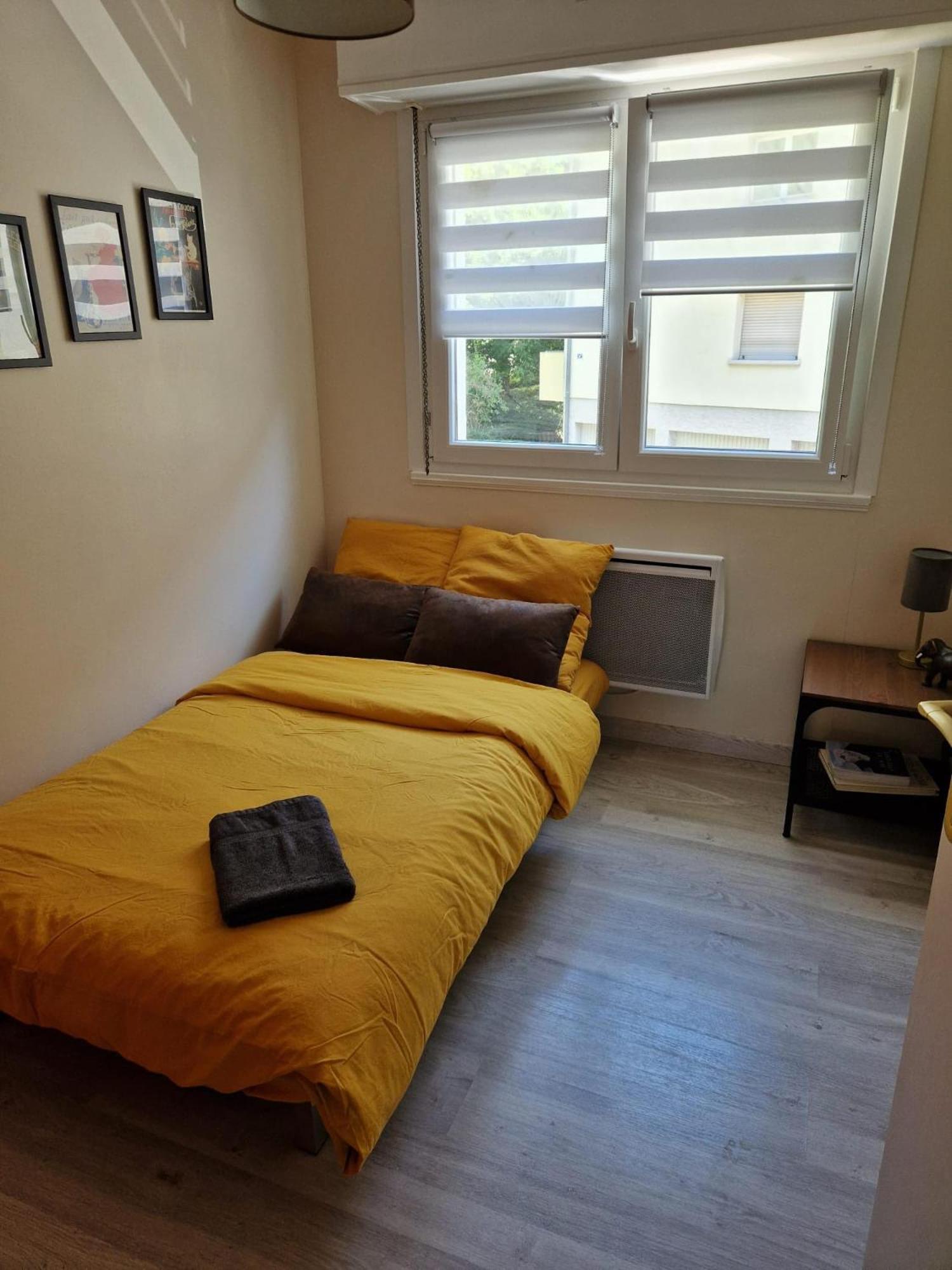 Robertsau Tres Bel Appartement Strasbourg Exterior foto